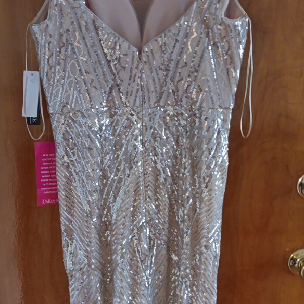 Champagne Silver Sequin Gown - Picture 7 of 10